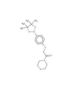 Astatech 1-MORPHOLINO-2-(4-(4,4,5,5-TETRAMETHYL-1,3,2-DIOXABOROLAN-2-YL)PHENOXY)ETHANONE; 1G; Purity 95%; MDL-MFCD18379051